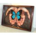 Картины "Бабочки на ладонях рук"